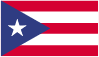 P.R. flag